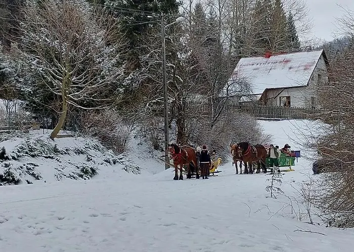 Eva & Lilou Pod Rysianka וילה Zabnica